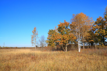 Similar image 893089