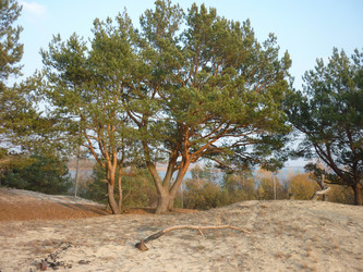 Similar image 893095