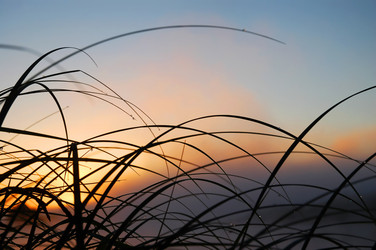 Similar image 893105