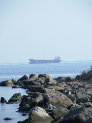 Similar image 893107