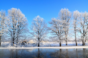 Similar image 893109