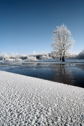 Similar image 893113