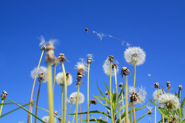 Similar image 893138