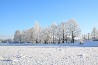 Similar image 893140