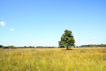 Similar image 893148