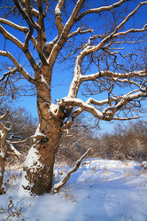 Similar image 893158