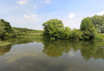 Similar image 893193