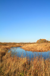 Similar image 893194