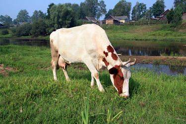 Similar image 893204