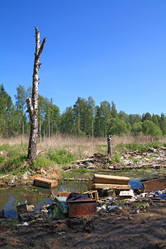 Similar image 893224