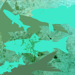 Similar image 893229