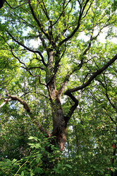 Similar image 893241