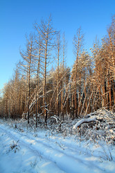 Similar image 893247