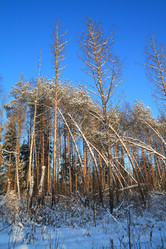 Similar image 893248