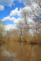 Similar image 893250