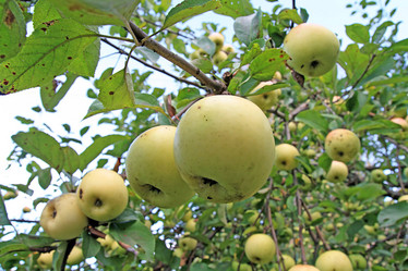 Similar image 893252