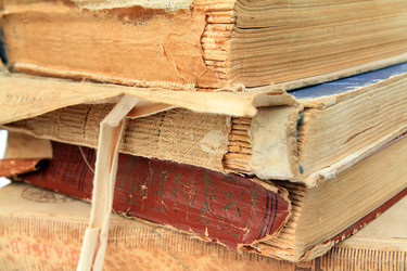 Similar image 893253