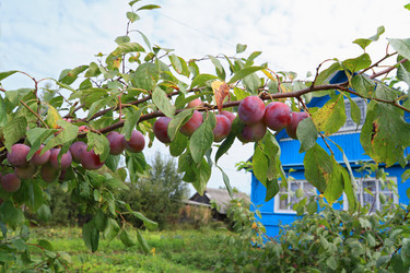 Similar image 893255