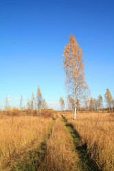 Similar image 893265