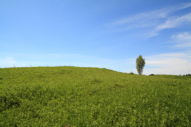 Similar image 893274