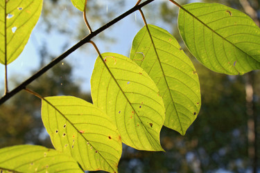 Similar image 893275