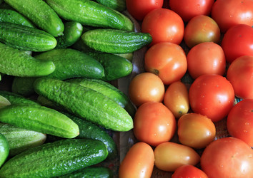 Similar image 893278