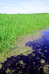 Similar image 893281