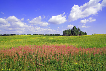 Similar image 893282