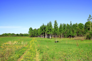 Similar image 893286