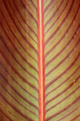 Similar image 893288