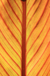 Similar image 893292