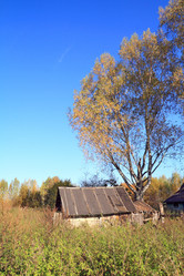 Similar image 893293