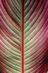 Similar image 893295