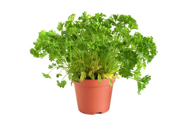 Similar image 893314