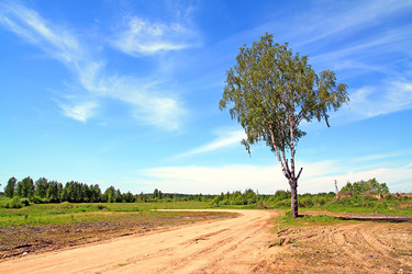 Similar image 893323