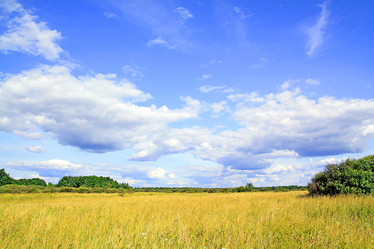 Similar image 893326