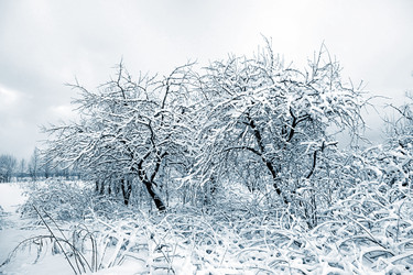 Similar image 893329