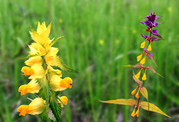 Similar image 893330