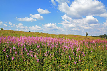 Similar image 893331