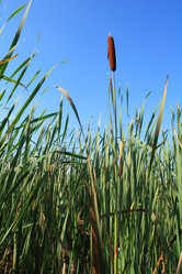 Similar image 893335