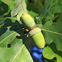 Similar image 893336