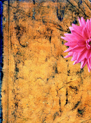 Similar image 893342