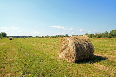 Similar image 893353