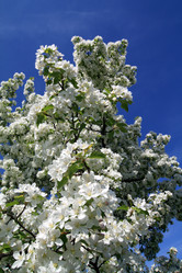 Similar image 893364