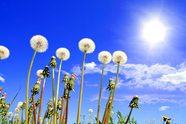 Similar image 893369