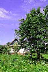 Similar image 893380