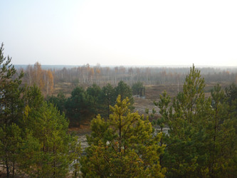 Similar image 893397