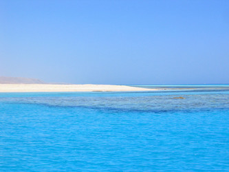 Similar image 893403