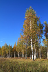 Similar image 893405