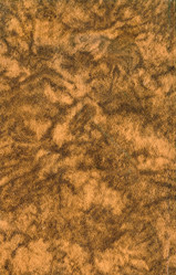 Similar image 893429